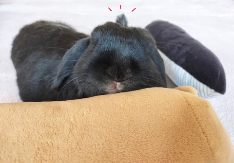 1803FF6B-EC04-4303-ABC9-550FDB7D3992