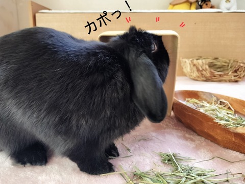 4494069D-DE36-45D9-953D-B4160BFFF2DB