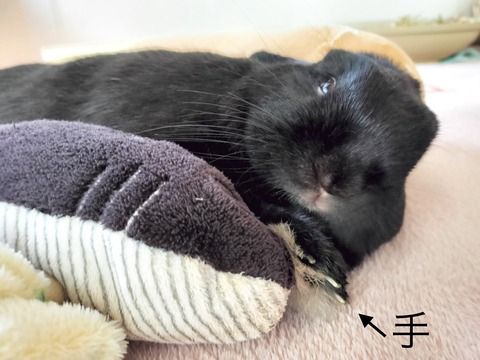 A6A2602E-4211-4032-9AF1-4CDA560518F0