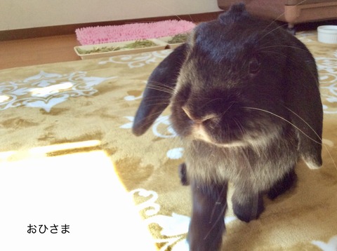 A2398D6A-159C-4A4B-A8C2-722FE1CCDA83