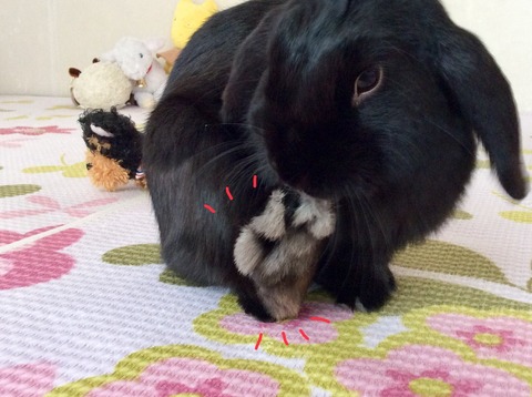 F2E87981-CE22-4EC7-8702-D12CFBD16BB4