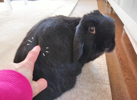 E572C3CE-B3D7-4A0E-907A-2EA018129F6D