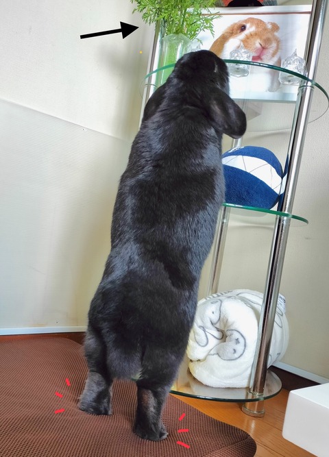 0D4DFAC7-BDBC-41F9-ADAF-D6BEF430DE29