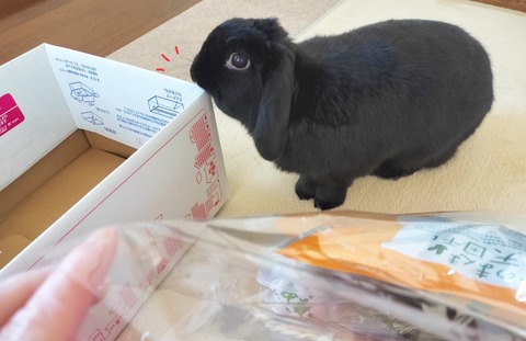 439C4398-5E41-44F2-9732-D47E79C4D5B1