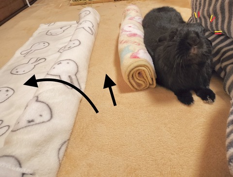 F23B2304-2E3D-4A5D-B54C-9A89732B00E3