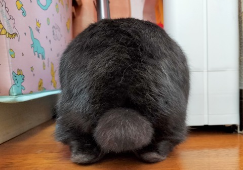 E56BD73D-B66E-443E-8AD1-4B8B751FFD9D