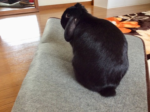 AFCFDDFE-B784-4221-AAB5-67EF66322150