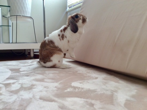 B807FB9A-FC24-4DFC-8555-59AC420A8A5E