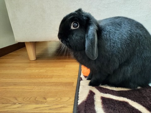 B472788D-0647-4273-BE28-45F75309F077