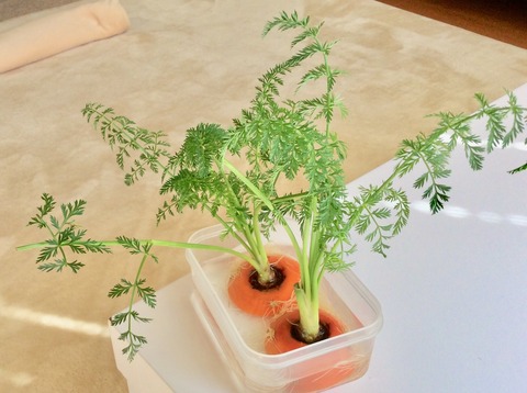 5D8F3E54-8DBC-435A-B9F6-EDC653EEB899