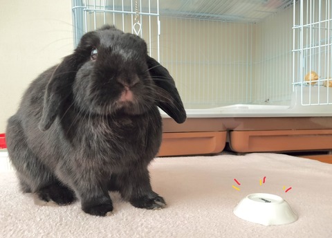 0F1AD88F-8BA1-4C17-ABD6-CAB757CA0357