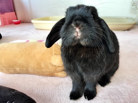 3F79827F-2F01-4172-B856-3C7B679F1D23