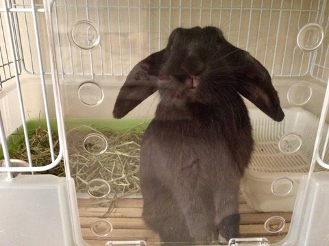 98D4135E-BCC5-4953-9D41-9082CEC27019