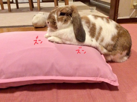 15A090D6-63E5-4B62-BB76-1895F9C94FD5