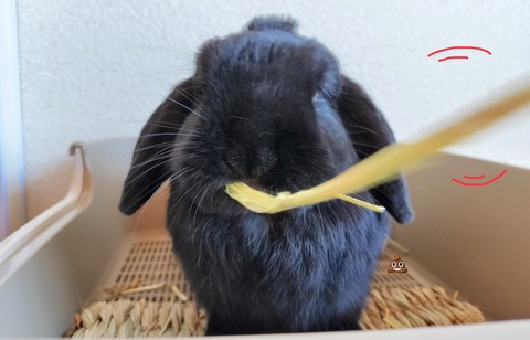 8CA08B58-E98B-4BB1-8EF4-034E7E6797C9