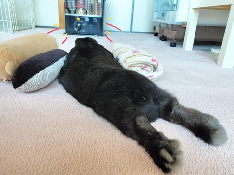 50126A81-C660-4D5F-BEAC-BACE38F209C0