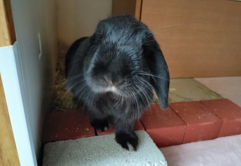 BA2067A2-BFD6-476A-81DD-A31073652815