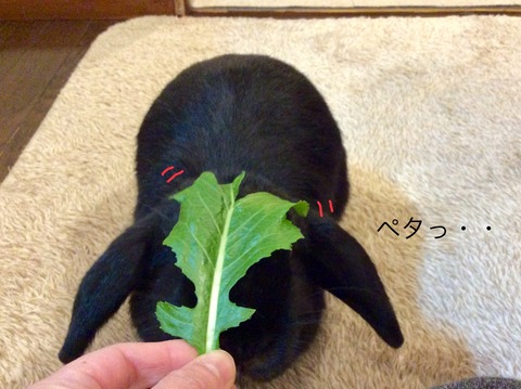 942322F7-F827-44BF-A3E5-622FBD3EF352