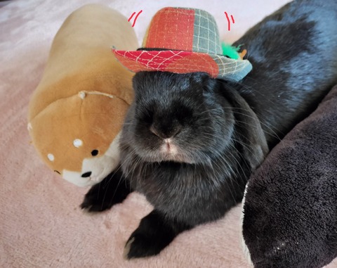 A04AFC57-73A2-48C6-B1DC-A5874BC70D42