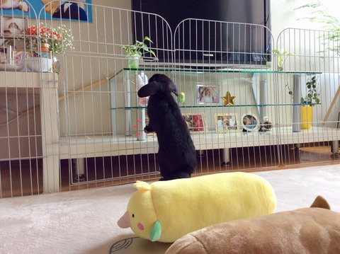 15F23B59-E6AA-4B81-BC6E-6887921C337F