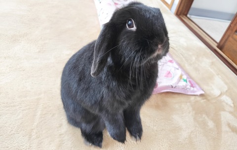 0E24E013-5205-4E5E-A945-63511E9F8B57