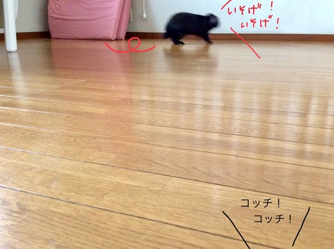2EDD1D7A-C3AC-4CA7-8237-3C740003BD81