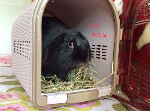 FA7EA4A1-67AE-48E1-832F-12E0102F56CF