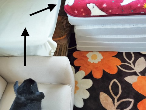 C3AE944C-6619-4BE2-99FD-68617E19277A