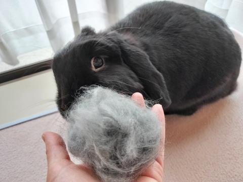 B1AF7D50-0D84-4AB4-8BA6-534C61447286