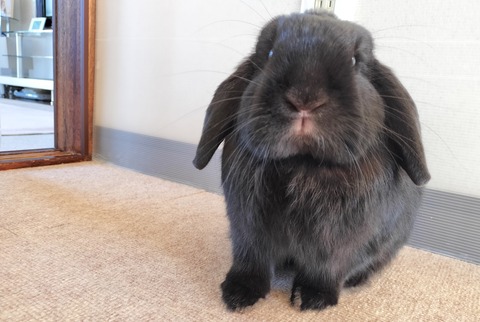 1A04AB49-1904-418F-9C2B-98E4D5F1C145