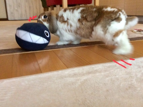 BDE83FDF-C506-4A60-BC4A-EAC86213F83C