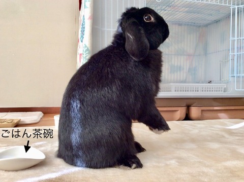 20E3363D-5E51-470A-8D00-04BC36619777