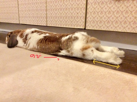 159622BB-8CD4-4F71-86C5-5E330B62FCBC