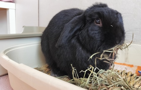 89967AEA-431A-4E97-8869-82253AA3799B