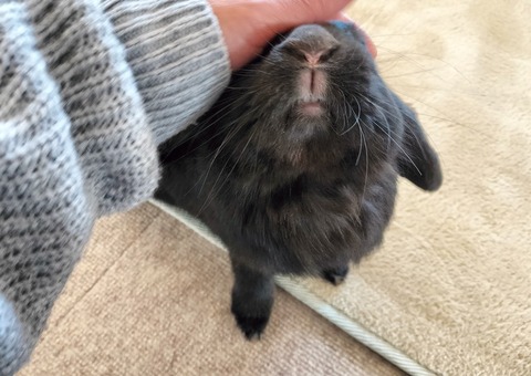 ECD4B875-B0FB-4F4E-961E-688C09458AA4