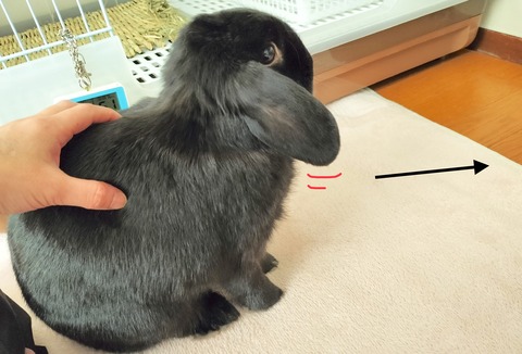 333F018B-72DB-4429-A1DB-9F8A0F4ADC7A