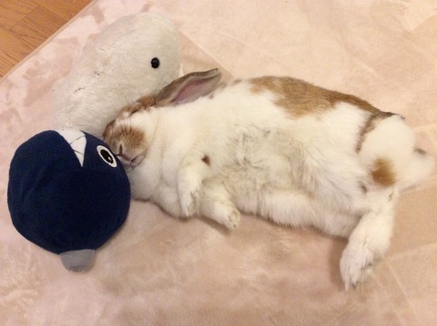 1FCA447E-3CC7-4E12-9404-218845ACA9E5