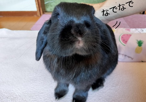 48C56B47-8C54-4C6A-B7C3-A01EC775DC54