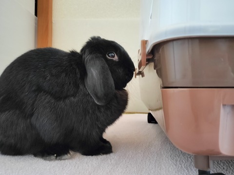 1D767F32-1AA8-4796-A185-69E3848E7A3B