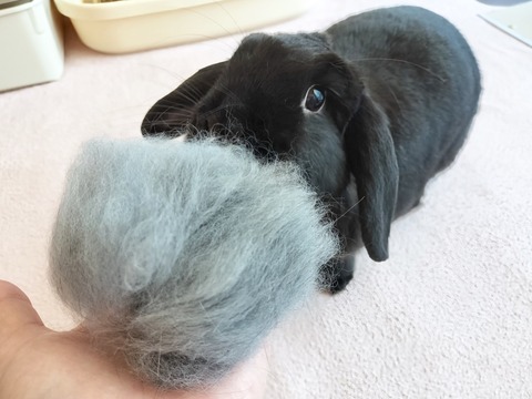 EE5DCCE2-032F-4034-846E-9DD1A50D7DE6