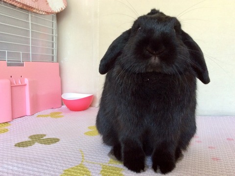 408B0607-5079-4183-ADC3-0244157B2E6E