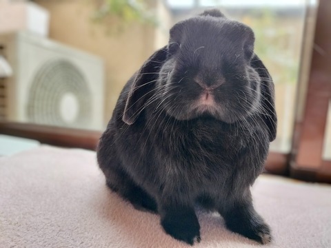 82D9CECA-0D24-4191-B851-13C0458474D6