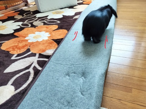 EFD3F58B-235F-48C6-B3C9-A233A6DF838A