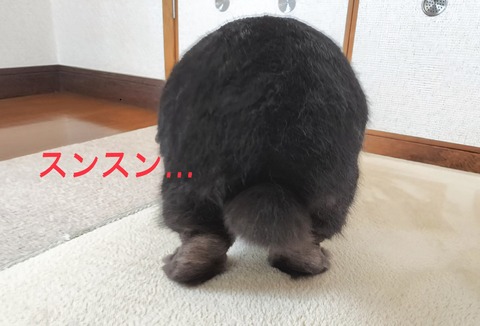 FCB7D8DD-608A-47CD-B906-9DD93960323B