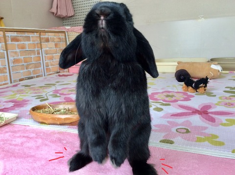 8AA6A25E-1DC4-40D7-871A-91E558A23037