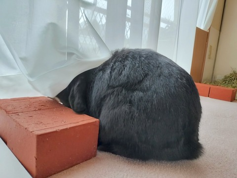 101BA7A0-0173-4B01-ACAD-8847E00E895D