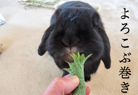 4B7E0AA7-CCCF-48BC-902D-EEBB05F5A879