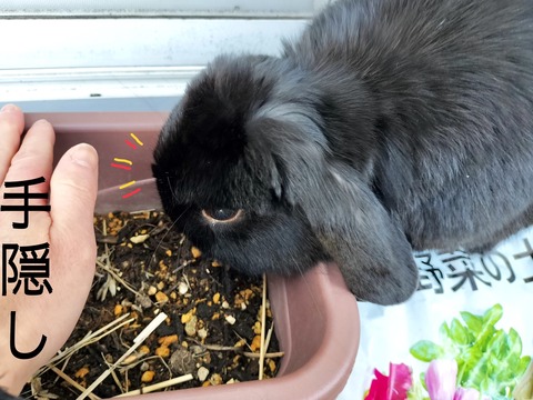 BF43CB01-8705-4052-8176-064C1C8AA926