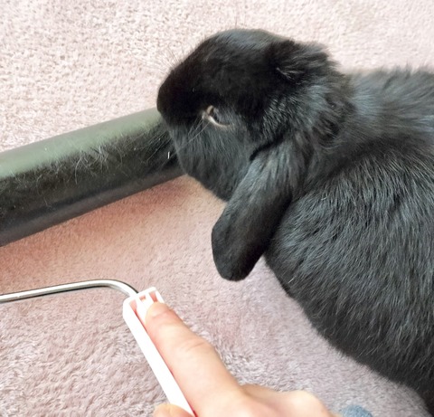 D9C3DE01-82BA-4C32-BD73-955EF77DFD43