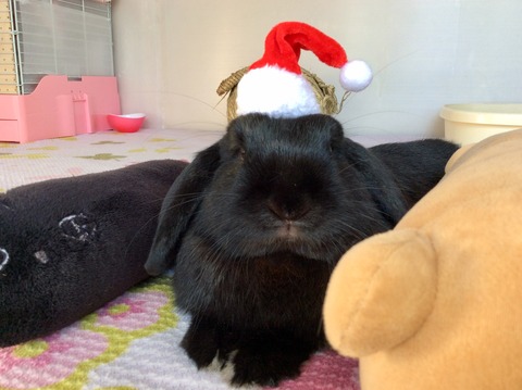 BE1A0E6F-9E8F-4100-AD03-3316AF009699